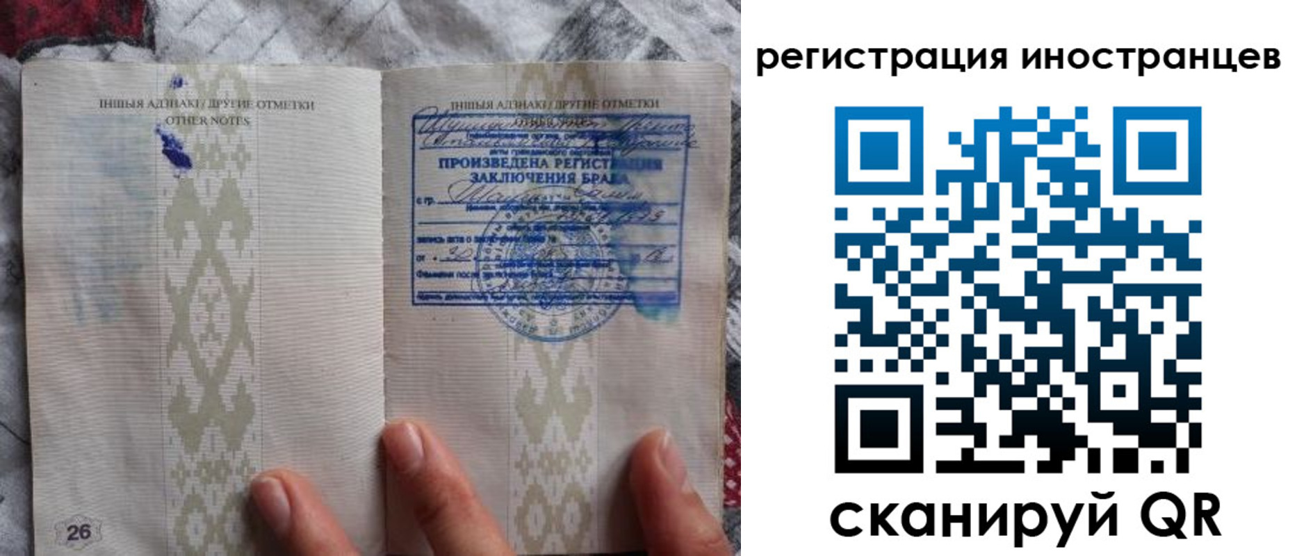 прописка для школы в Новгородской области